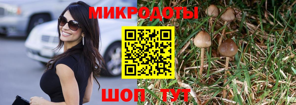 Кириши  Галлюциногенные грибы MAGIC MUSHROOMS  Вход с VPN  Галлюциногенные грибы мицелий 